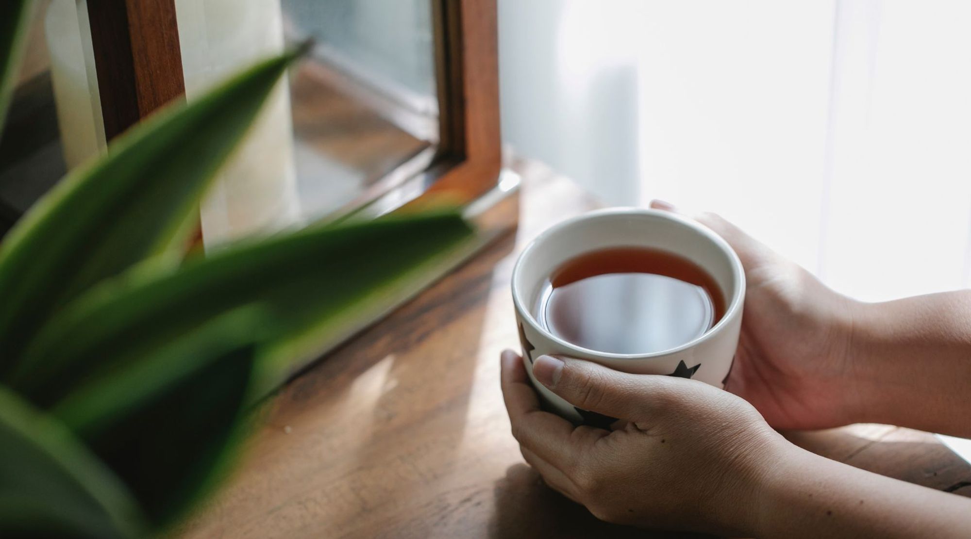 Benefits of Drinking Tea: Why Your Daily Cup is More Than Just a Drink